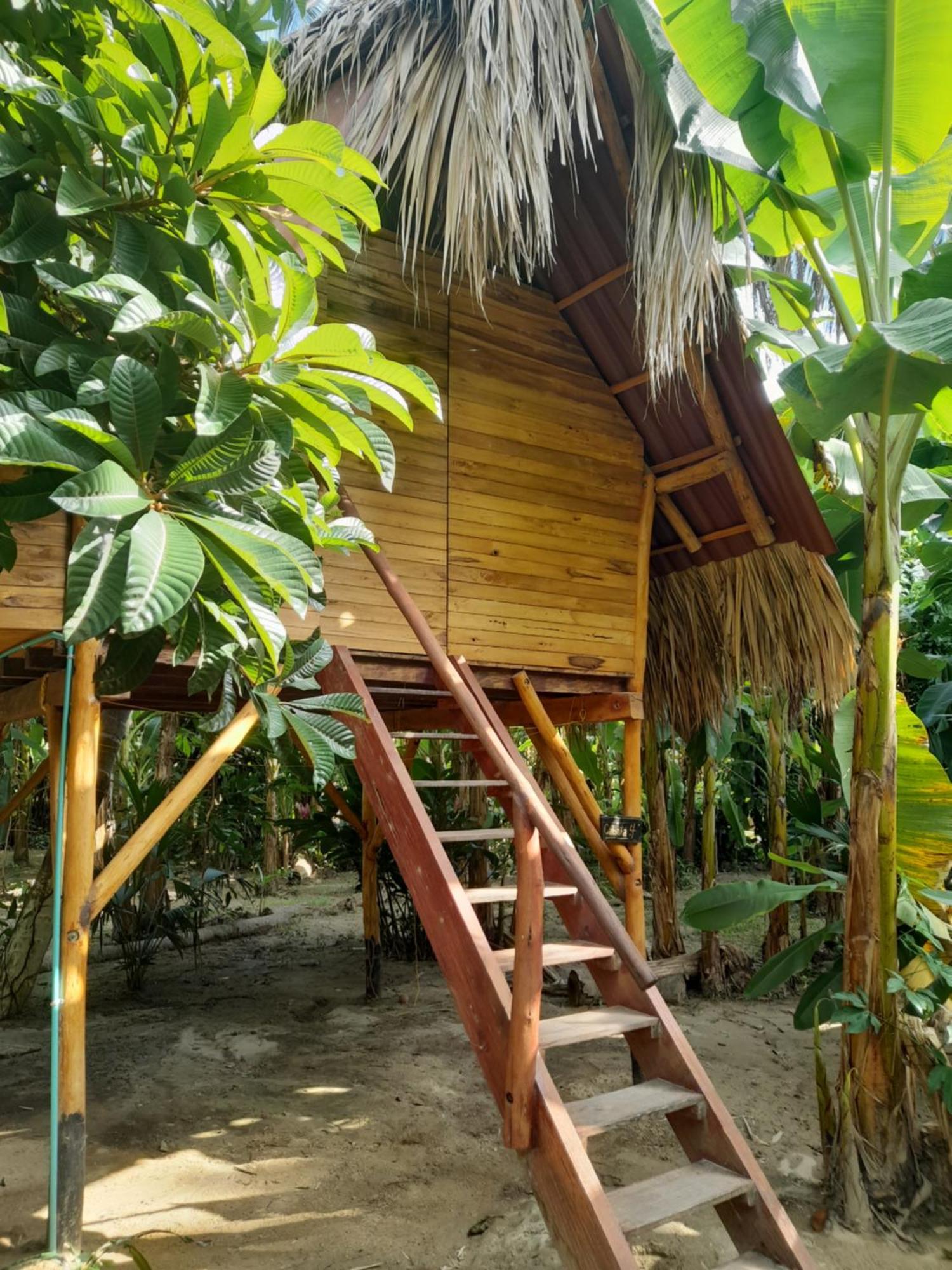 Hostel La Playita Guachaca Exterior foto